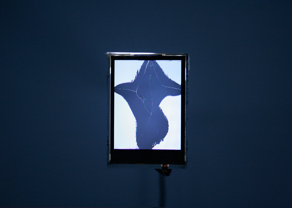 David Blackmore: Installation view Liquid Crystal Displays Pixxelpoint 10, Nova Gorica, SVN