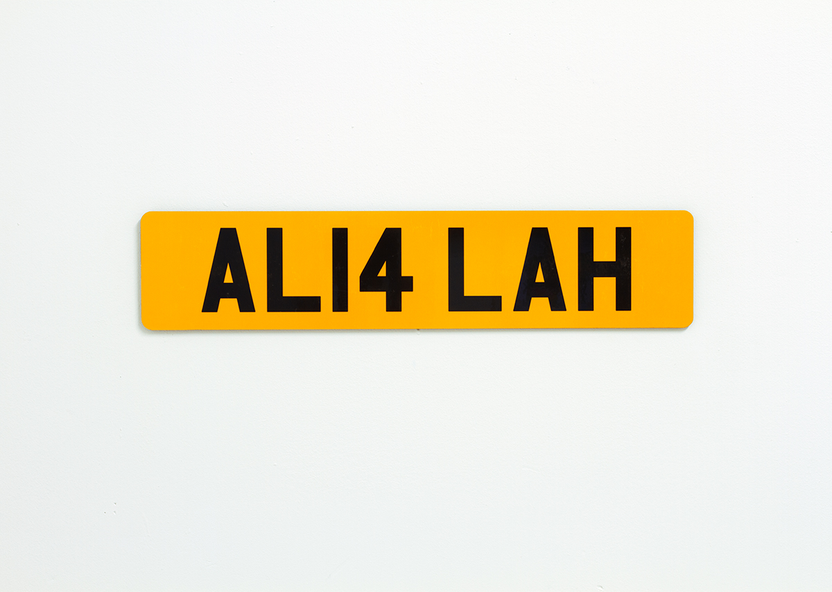 David Blackmore: AL14 LAH from REG, 2013